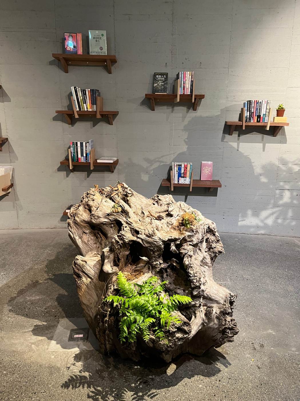 崆書屋照片 2