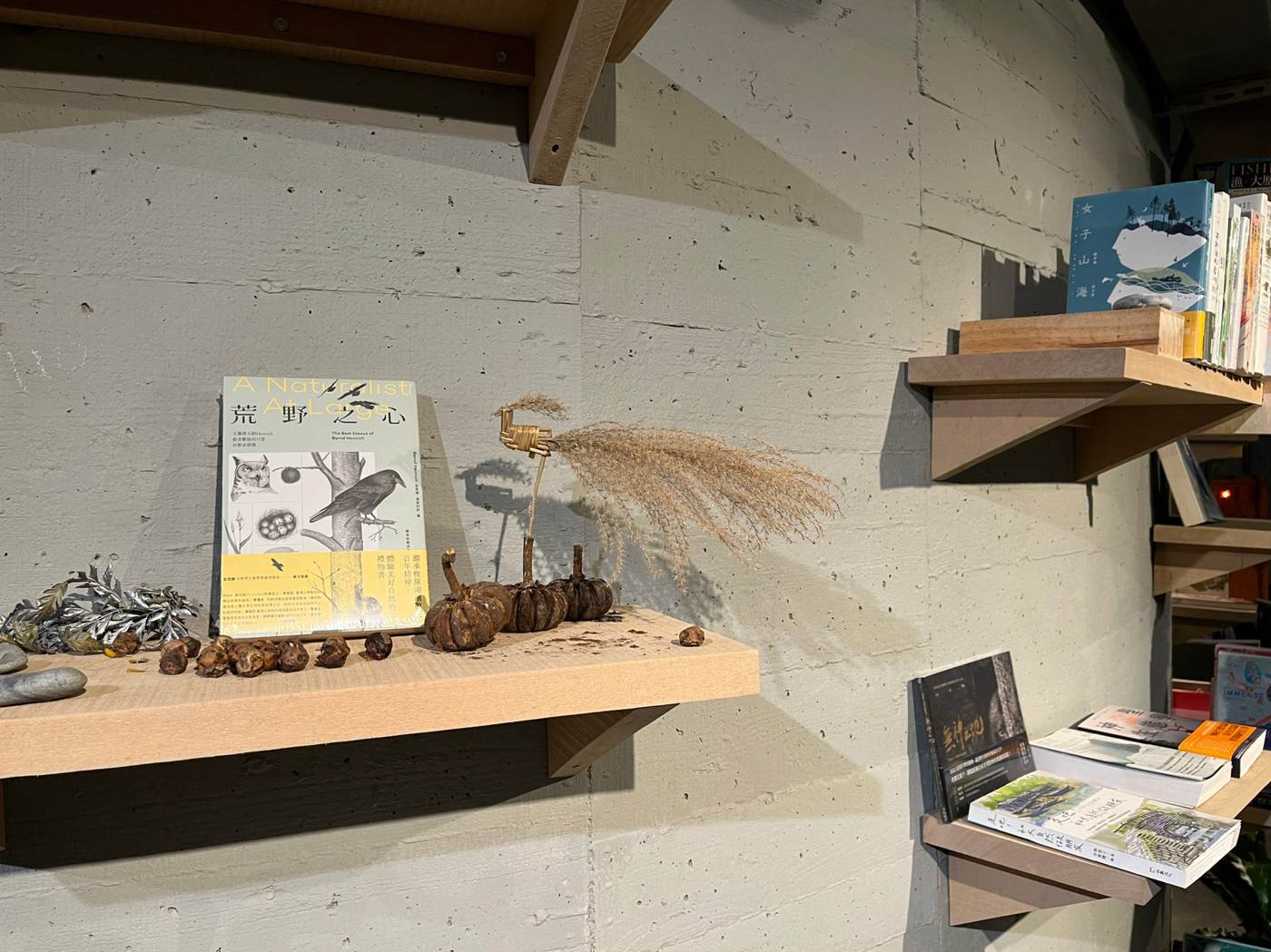崆書屋照片 9